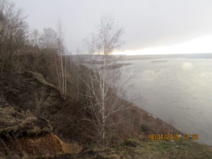 Река Ока в Павлово
