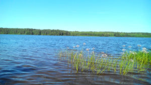 Белоусовское водохранилище