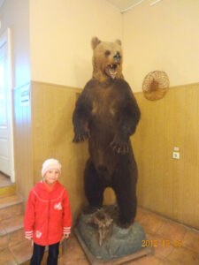 Музей природы в Костроме