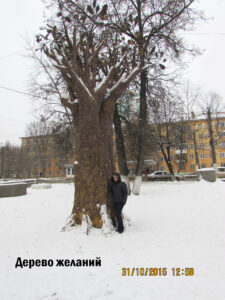 Дерево желаний в Кирове
