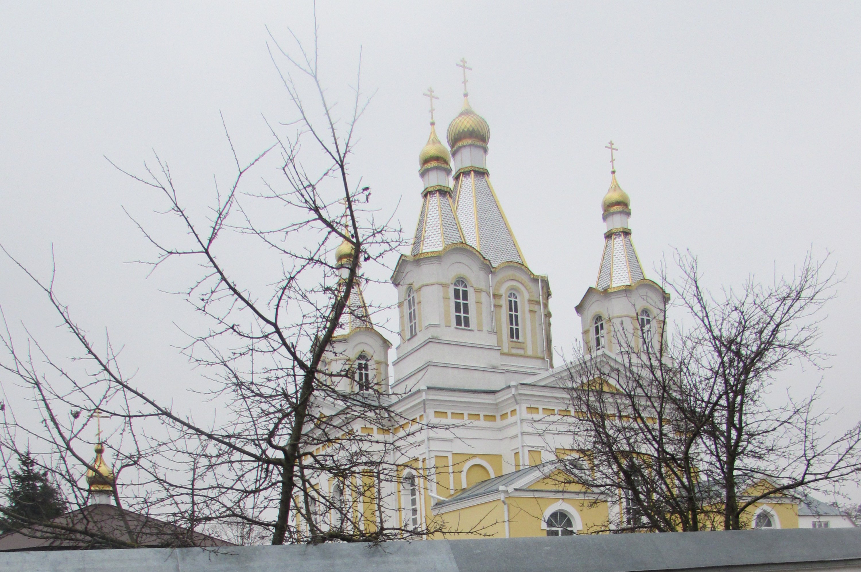 ﻿Собор Александра Невского в Кобрине