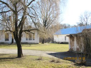 Дворцово-парковый ансамбль в Высоком