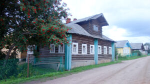 Шардонемь