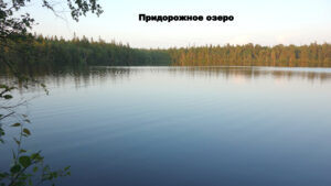 Озеро Придорожное у п.Соловецкий