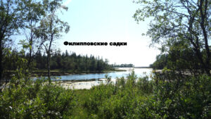 Филлиповское садки