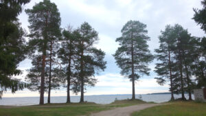 Село Сосновка