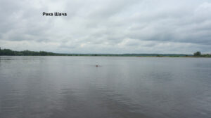 Река Шача
