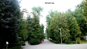 Летний сад Родников