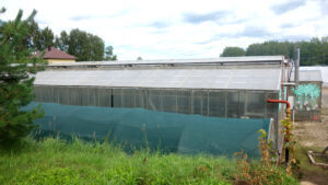 Клубничная ферма Strawberry_44