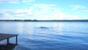 Волга у д.Середняя