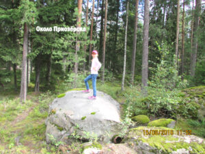 Красивая природа Приозёрского района