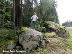 Красивая природа Приозёрского района