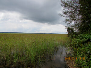 Озеро Отрадное