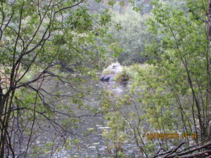 Красивая природа Приозёрского района