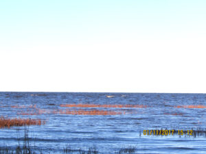 Систо-Палкино