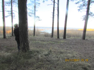 Систо-Палкино