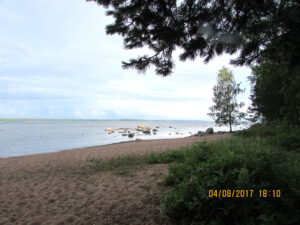 Около Приморска