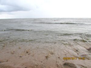 Посёлок Зелёная Роща