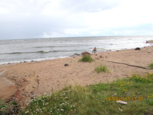 Посёлок Зелёная Роща