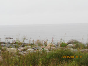 Посёлок Сторожевое