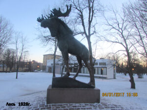 Памятник лосю в Выборге