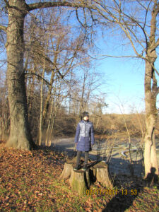 Парк Романовка