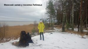 Посёлок Лебяжье