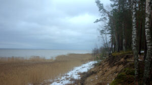 Посёлок Лебяжье