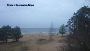 Пляжи в Сосновом Бору