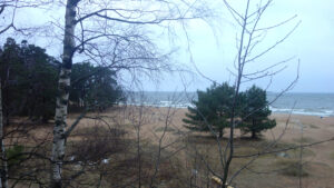 Пляжи в Сосновом Бору