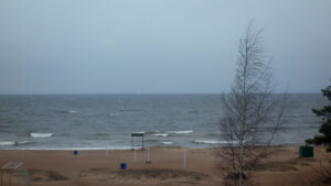 Пляжи в Сосновом Бору