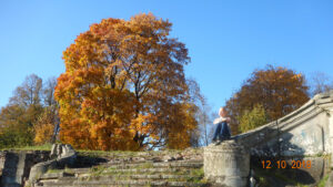 Усадьба Рапти