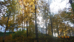 Череменецкий монастырь