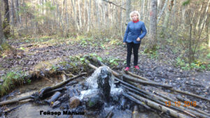 Гатчинские гейзеры