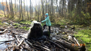 Гатчинские гейзеры