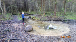 Гатчинские гейзеры