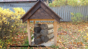 Домик няни Пушкина