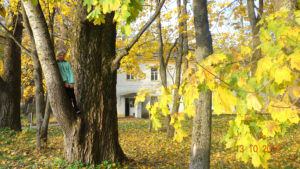 Музей-усадьба Суйда