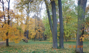 Музей-усадьба Суйда