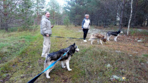 Питомник "Северная надежда"