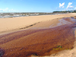 На Финском заливе в поселке Репино
