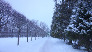 Екатерининский парк