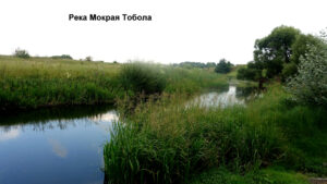 Река Мокрая Тобола