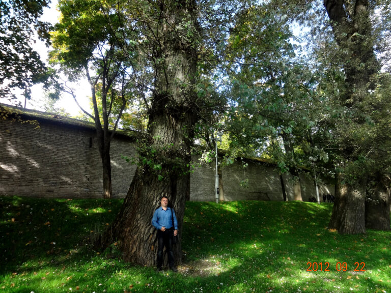 церковь федора стратилата великий новгород год постройки. памятники архитектуры 14 века на руси. фиораванти, 1475-1479. архитектура. памятники 14 15 века.