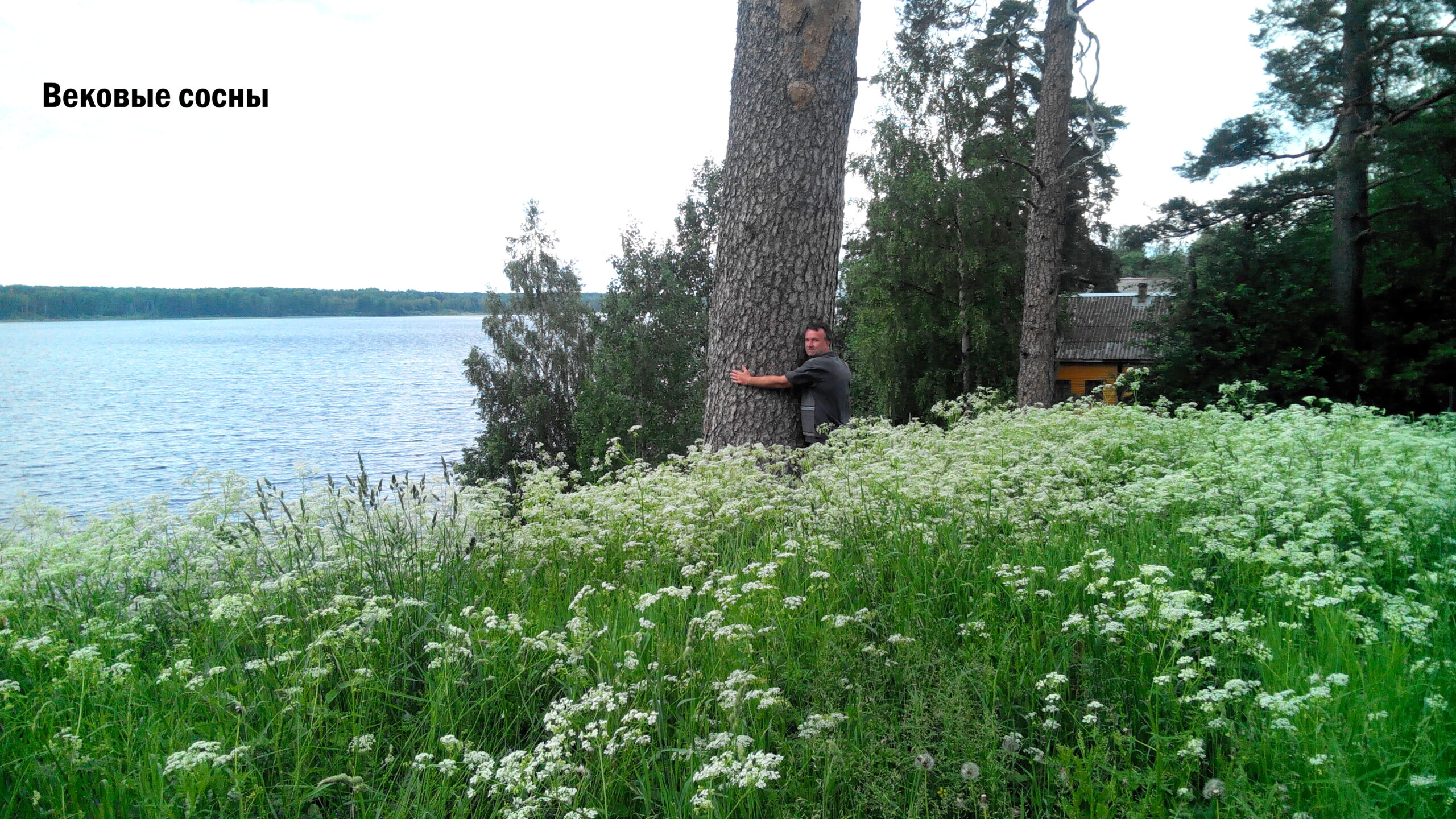 Юксовское озеро