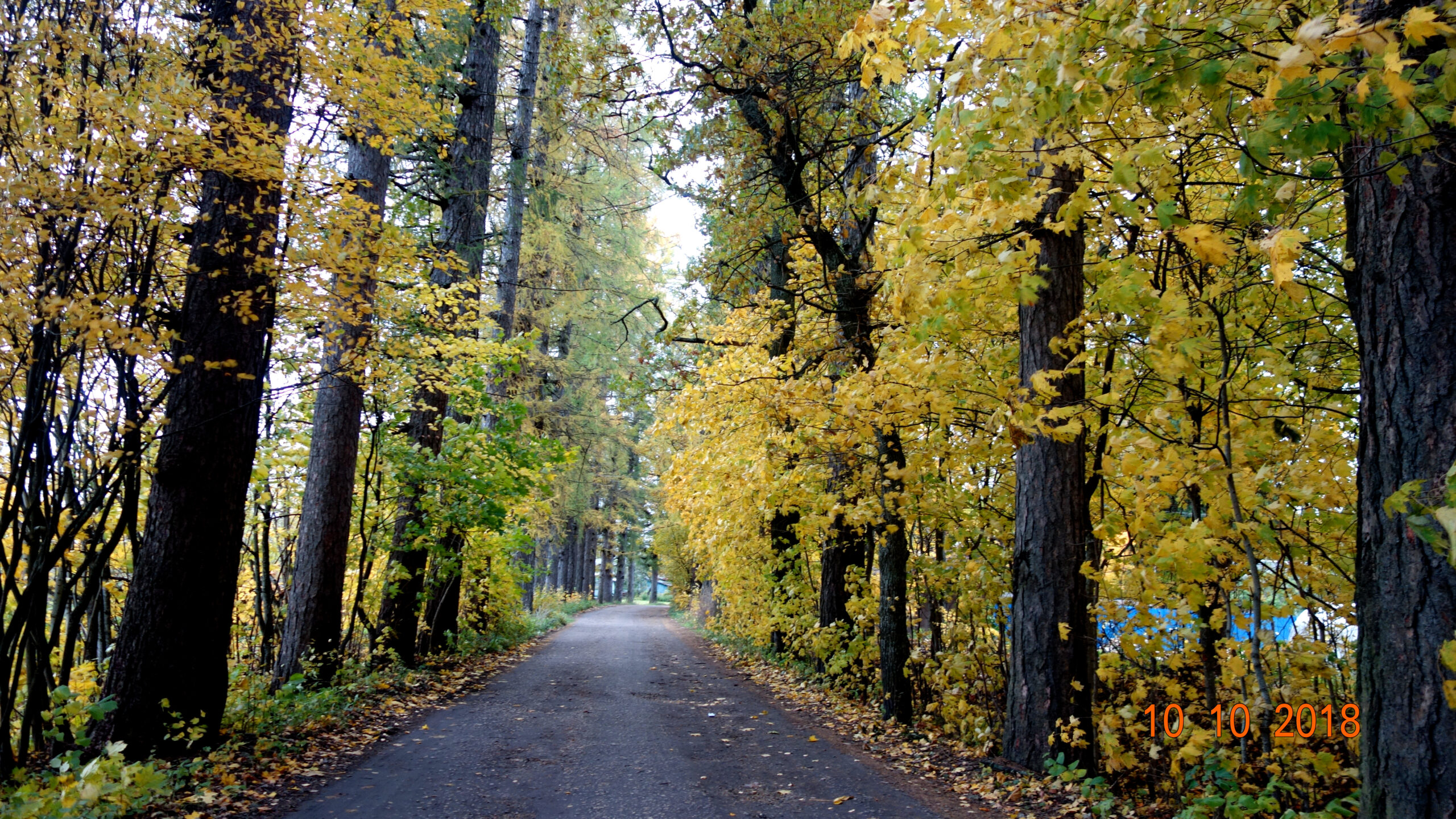 Усадьба Дружноселье