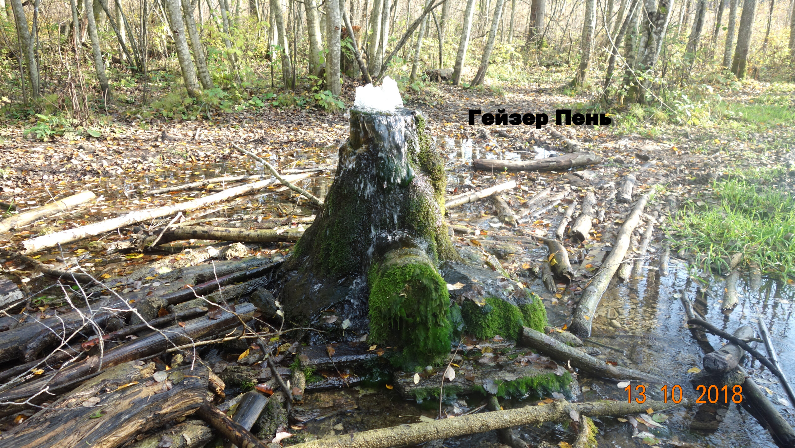 Гатчинские гейзеры