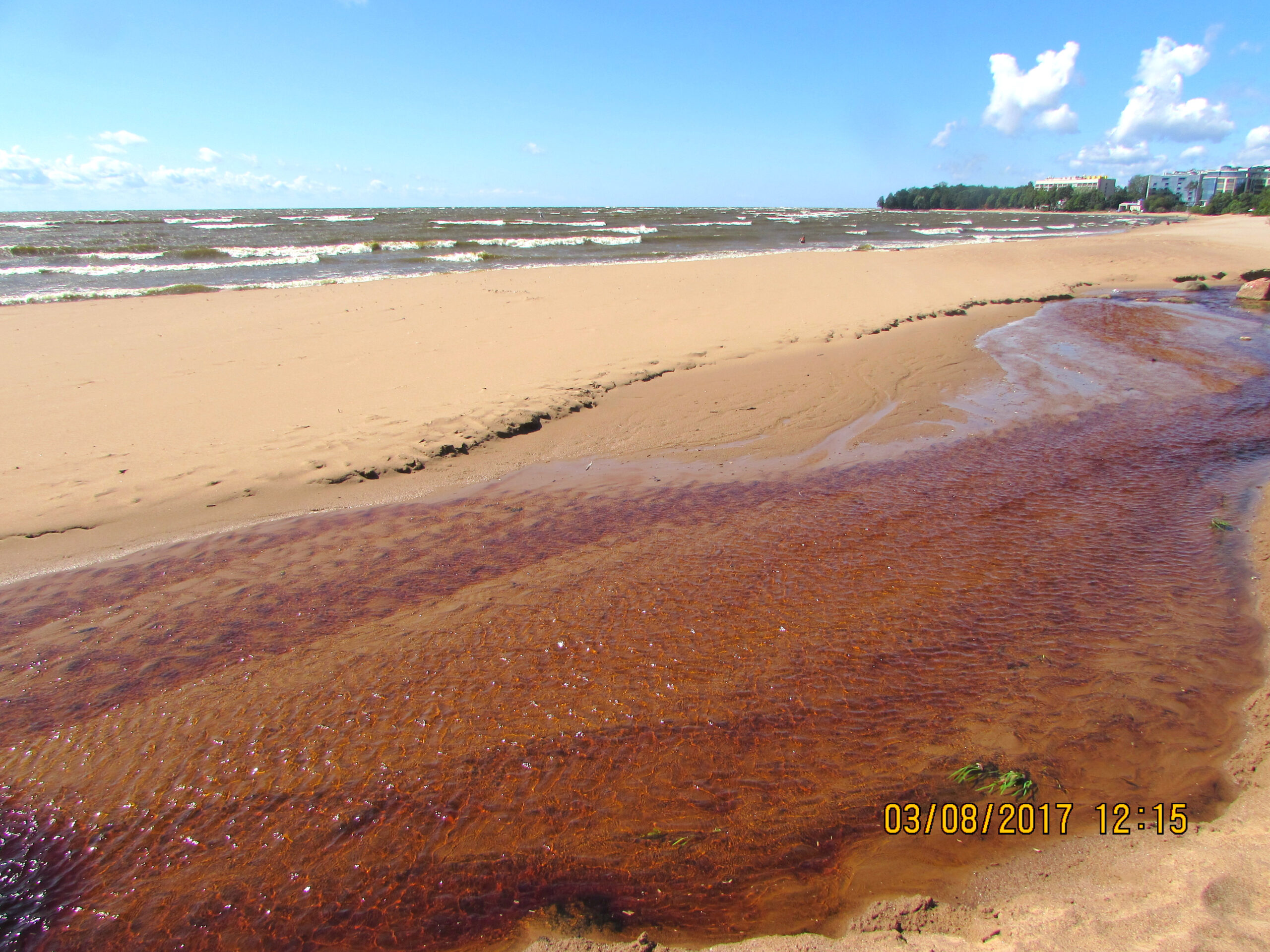 На Финском заливе в поселке Репино