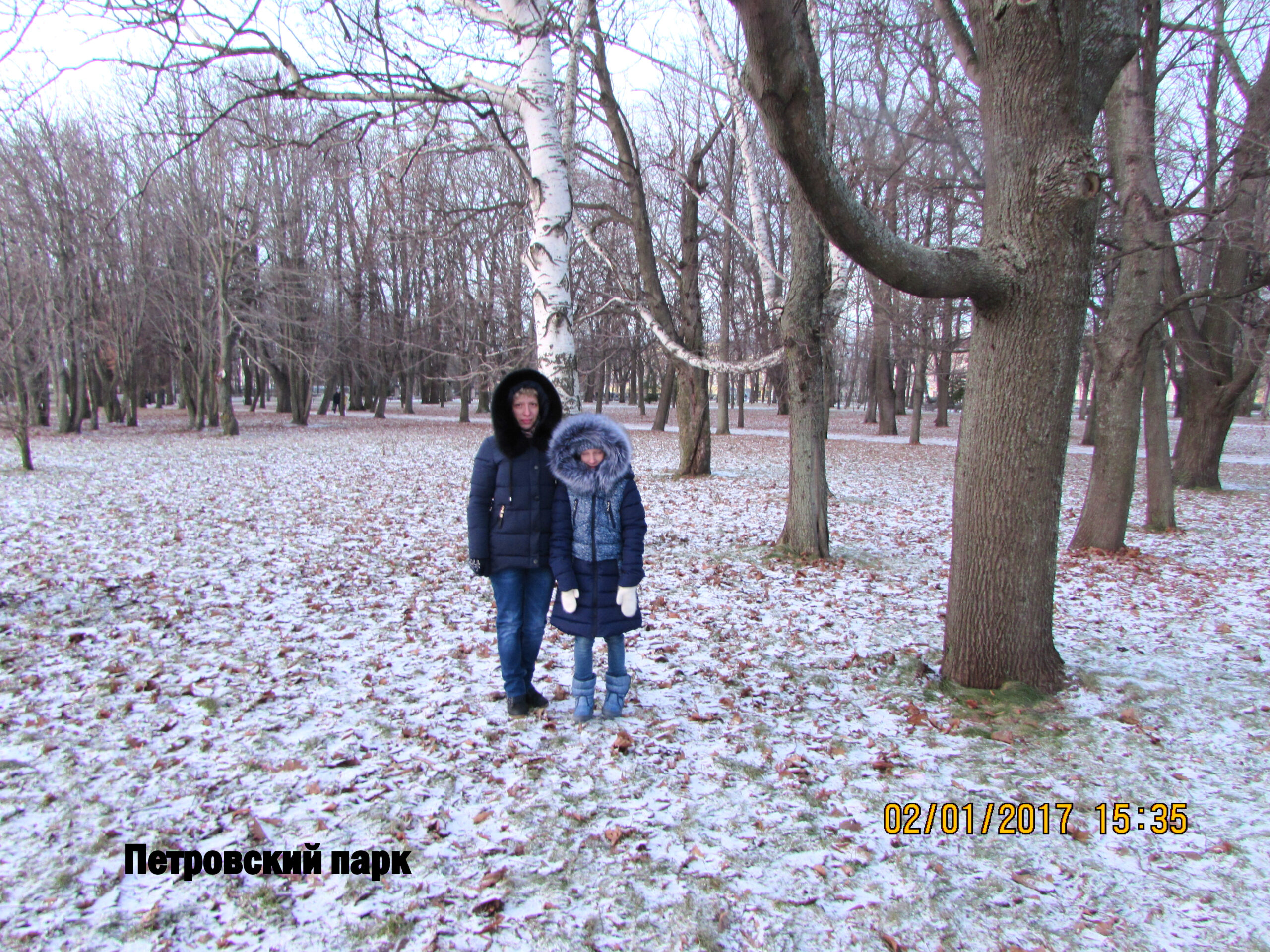 Петровский парк Кронштадта